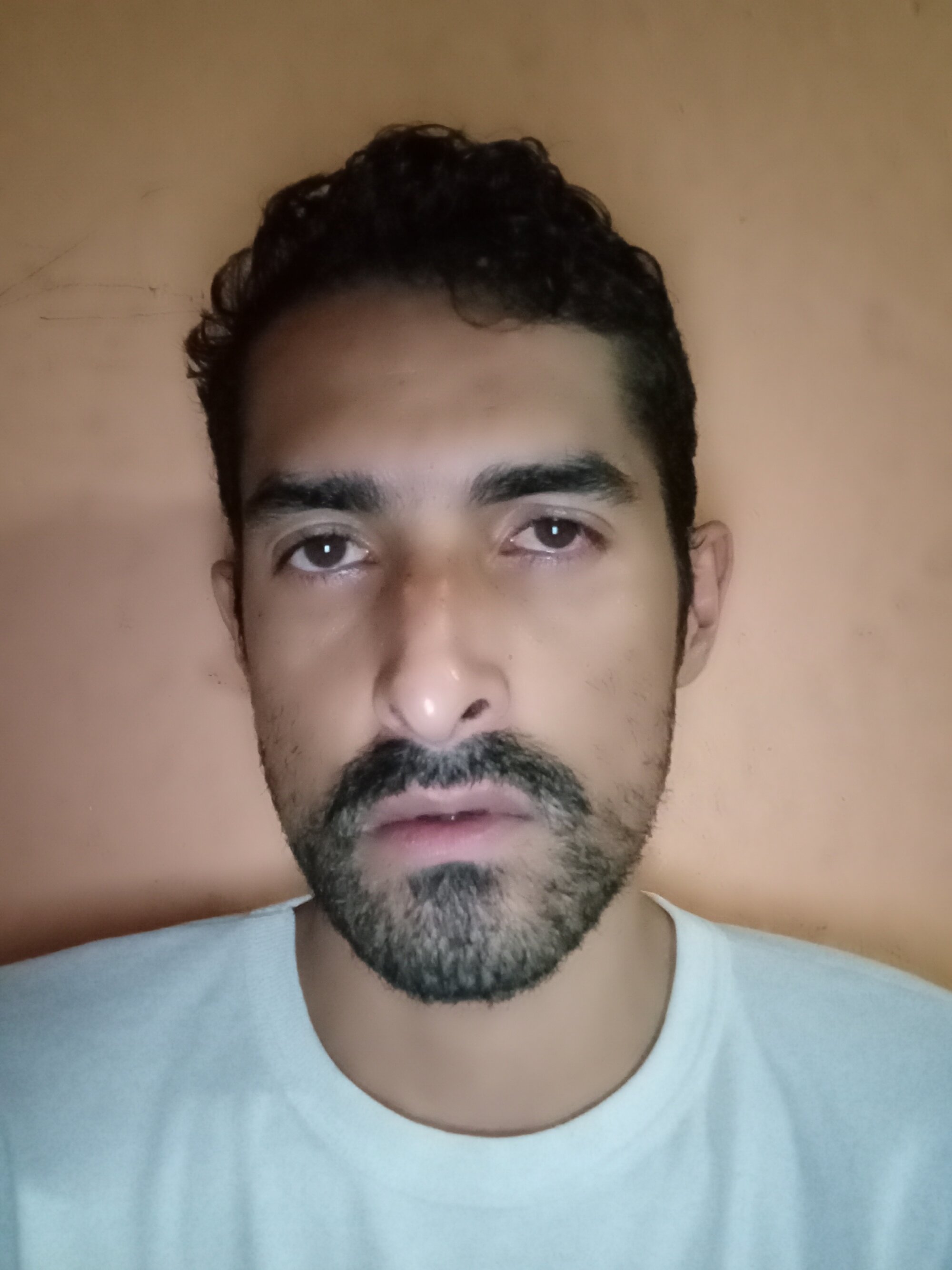 Alfonsonoah