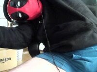 TLD1111's webcam live show