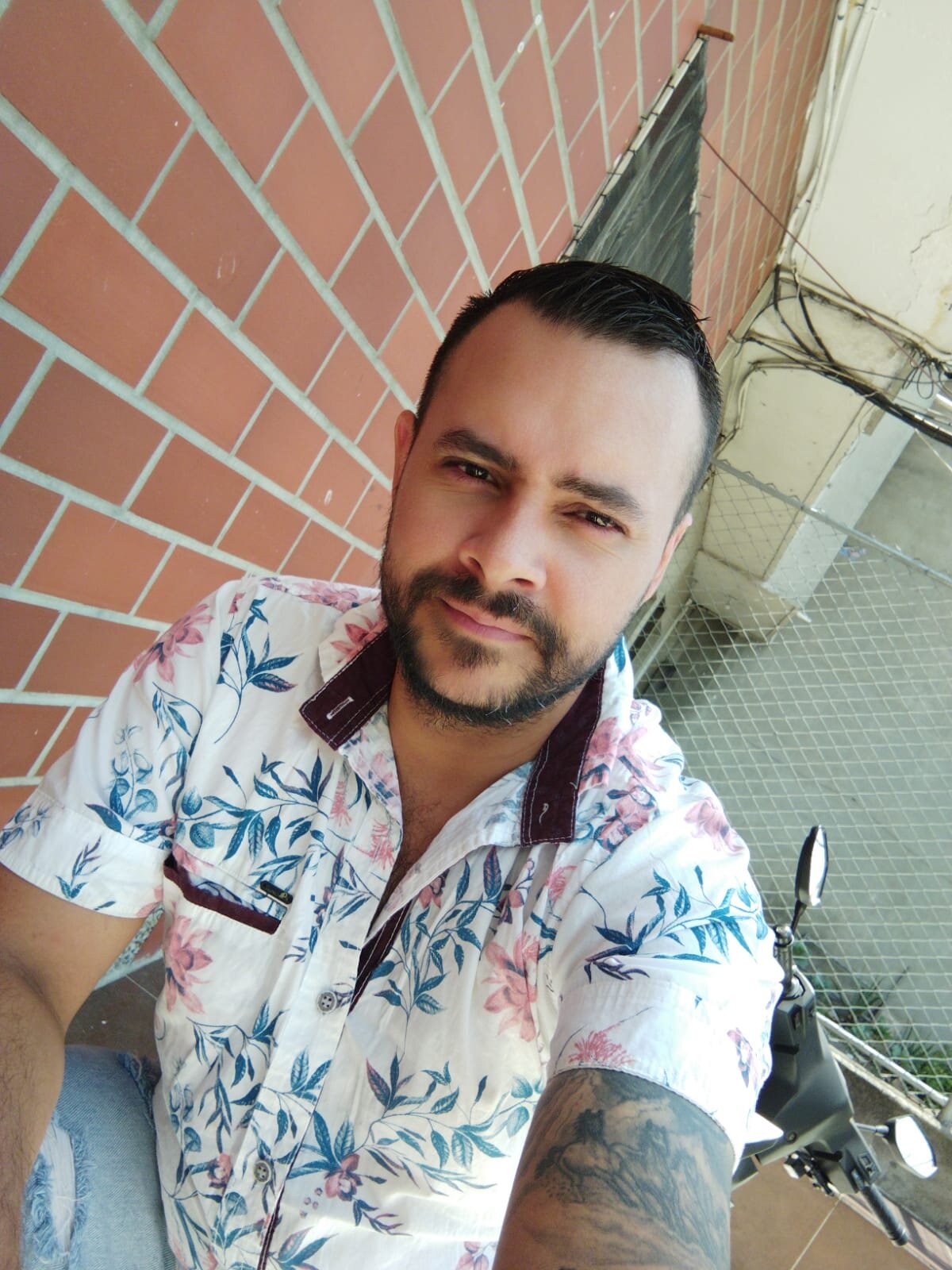 Anfe_Aristi