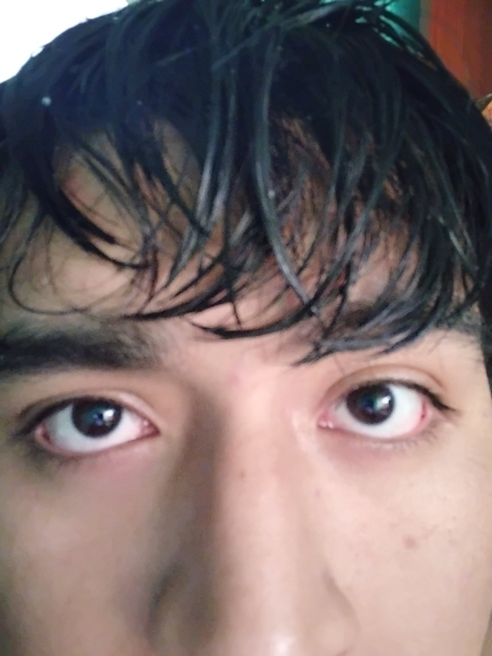 sebastianloquillo