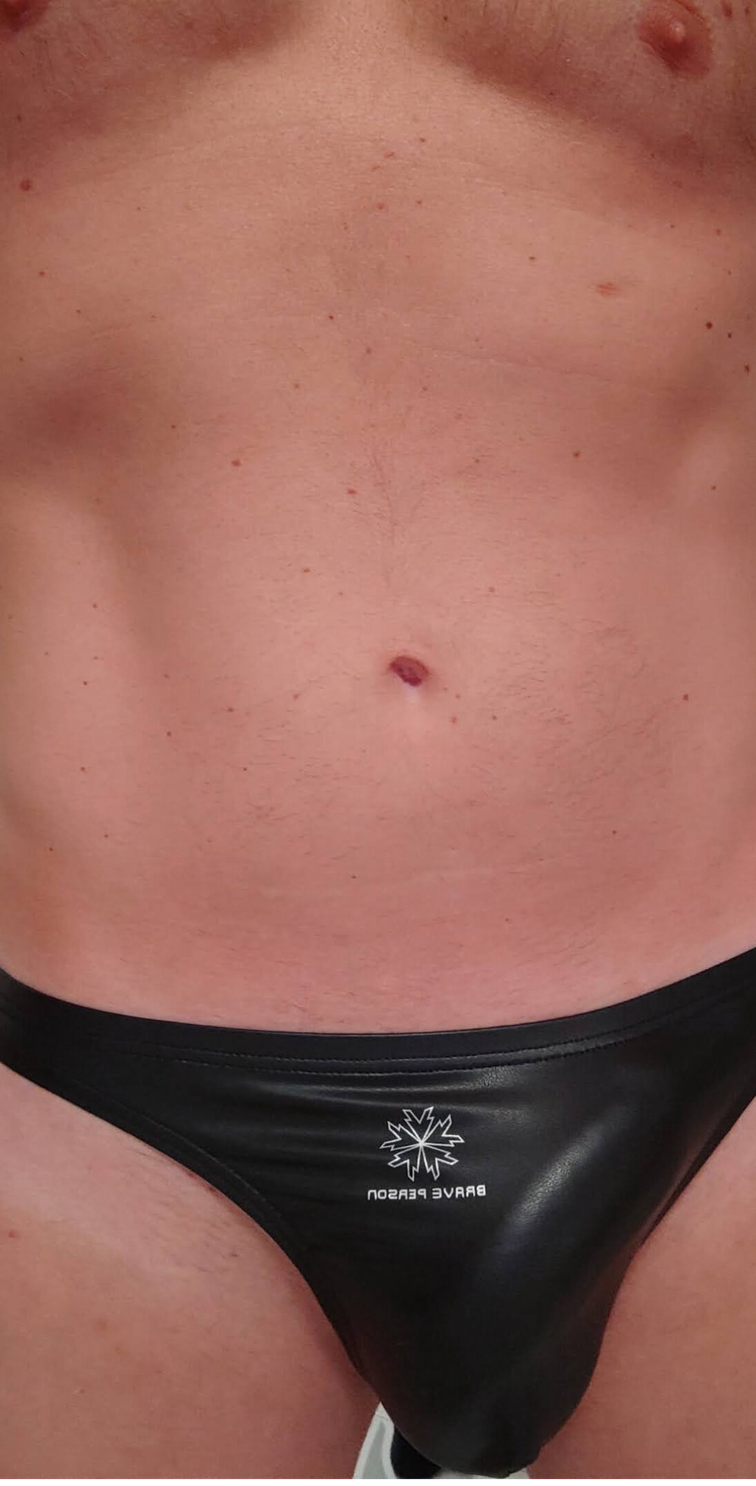 codadacavallo