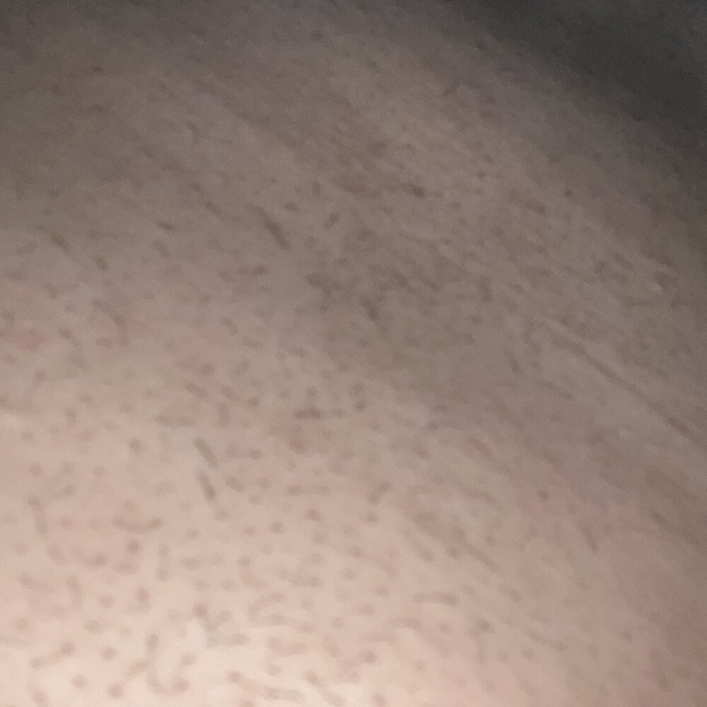 fee096 from stripchat