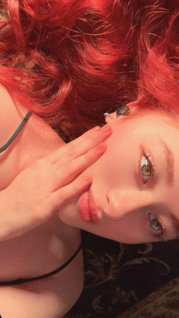 Kitten_Aria