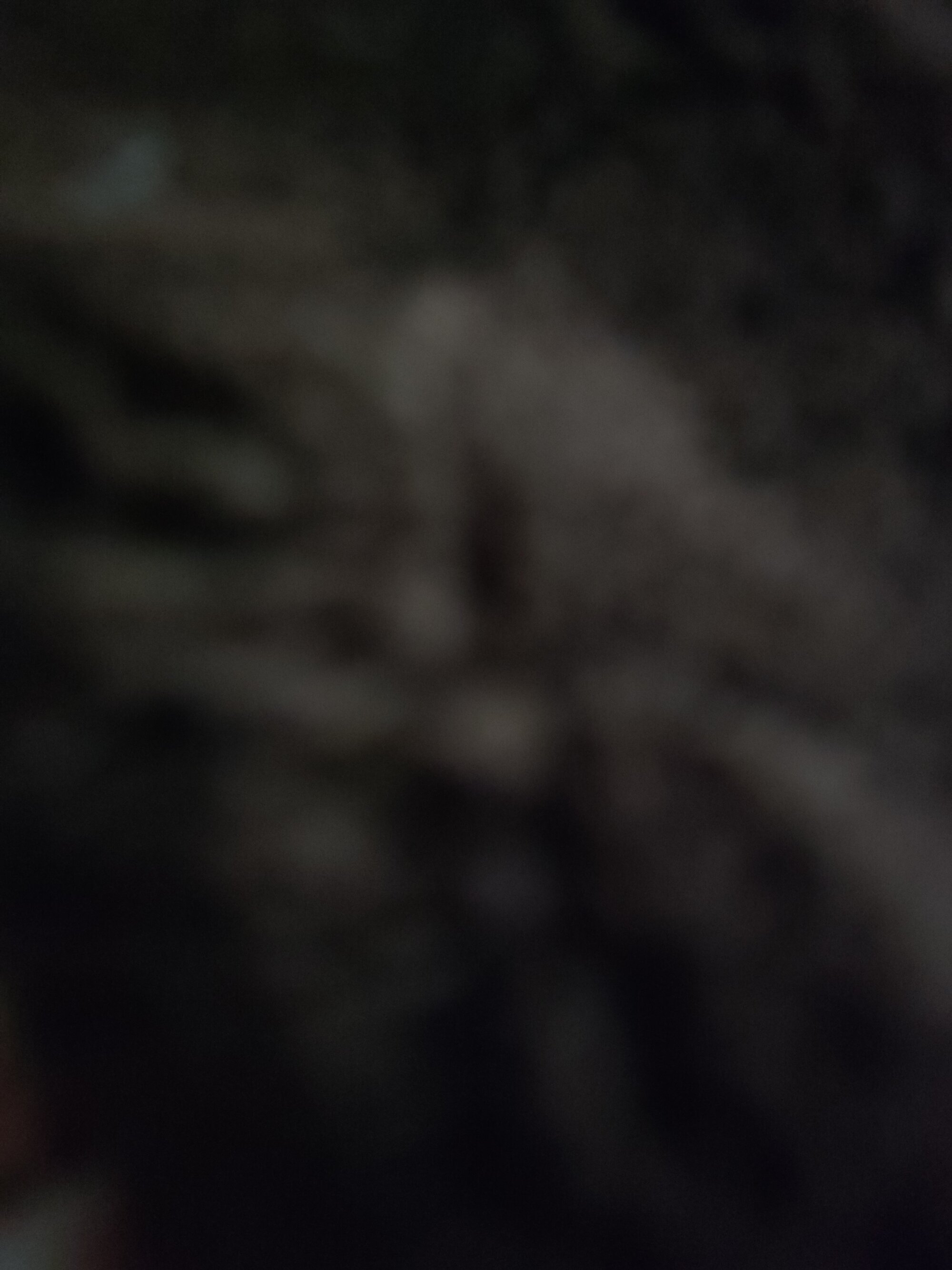 amirMohamed58 live webcam