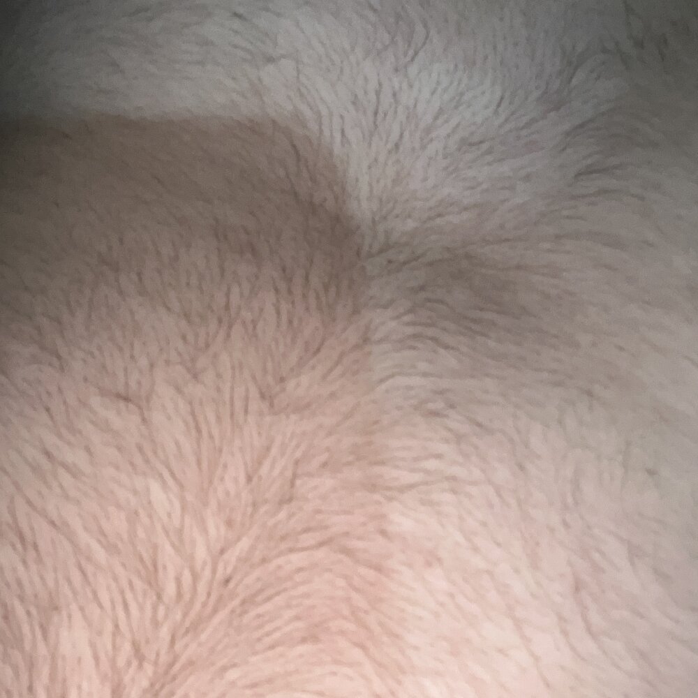 sexybbaron