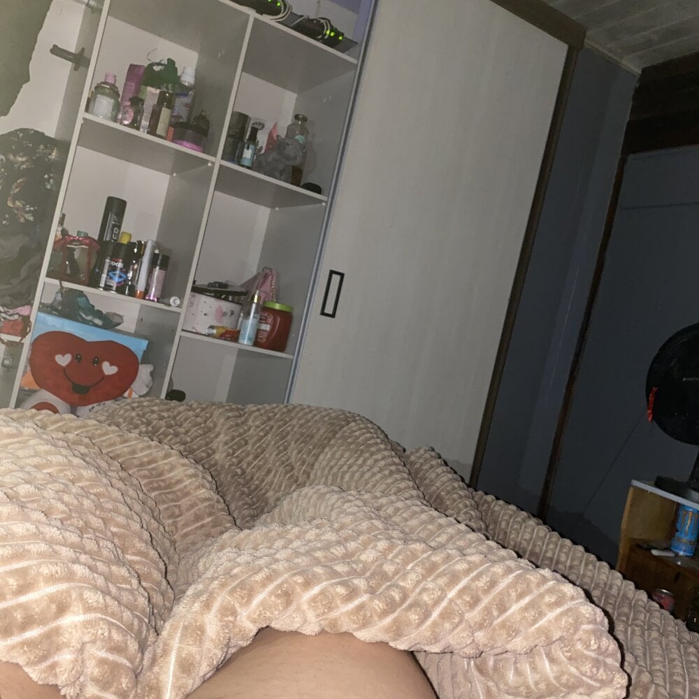 bernardonovinho from stripchat