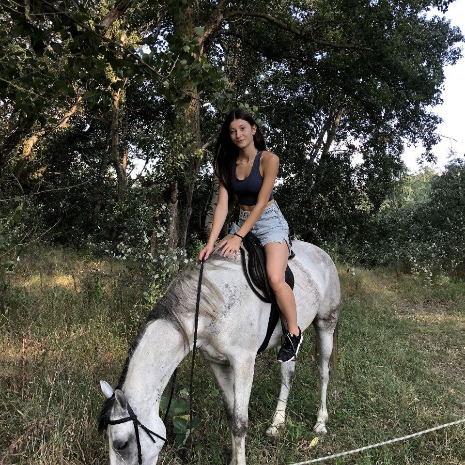 JustinForce Chat XXX offline