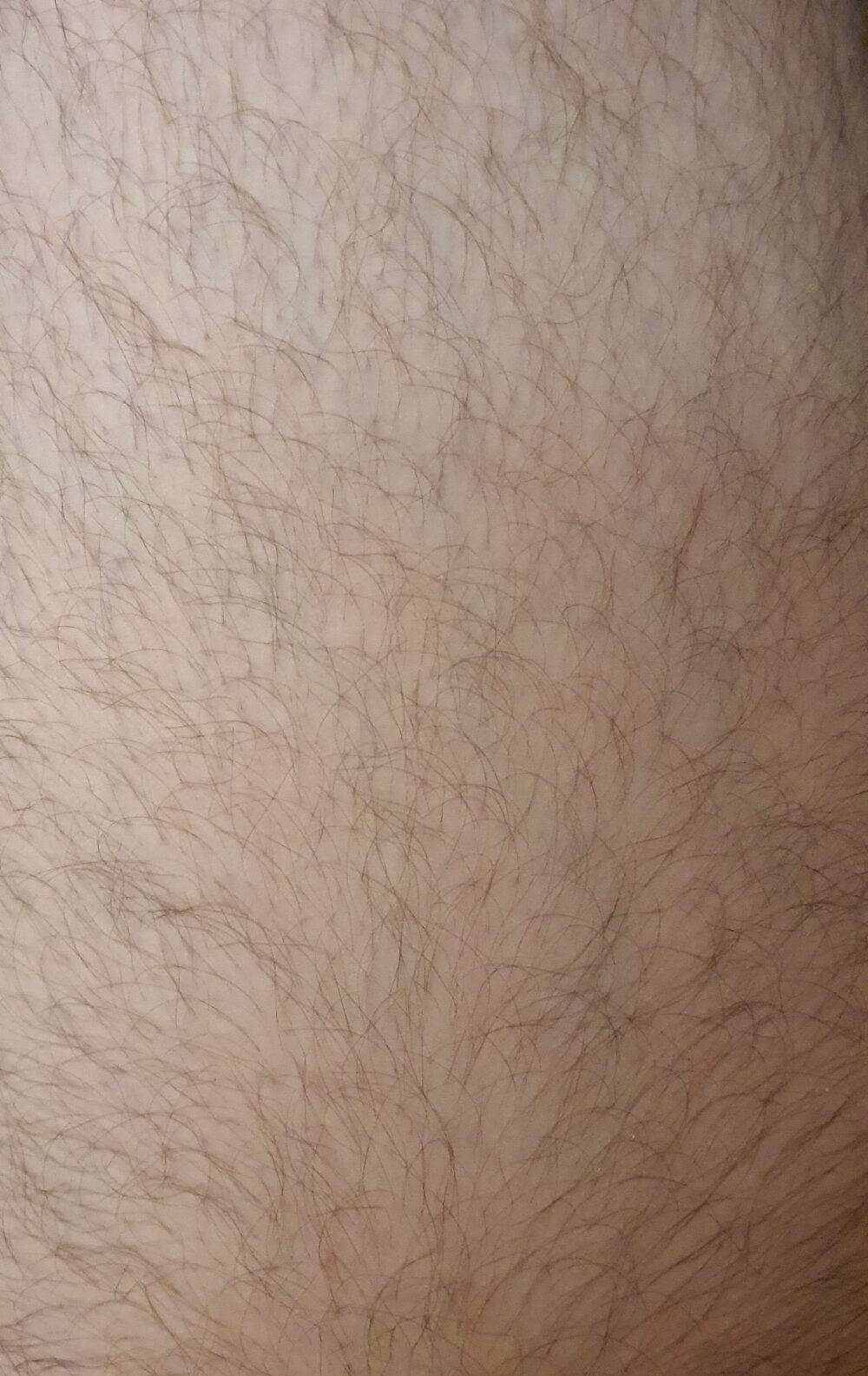 bavarian_guy profile