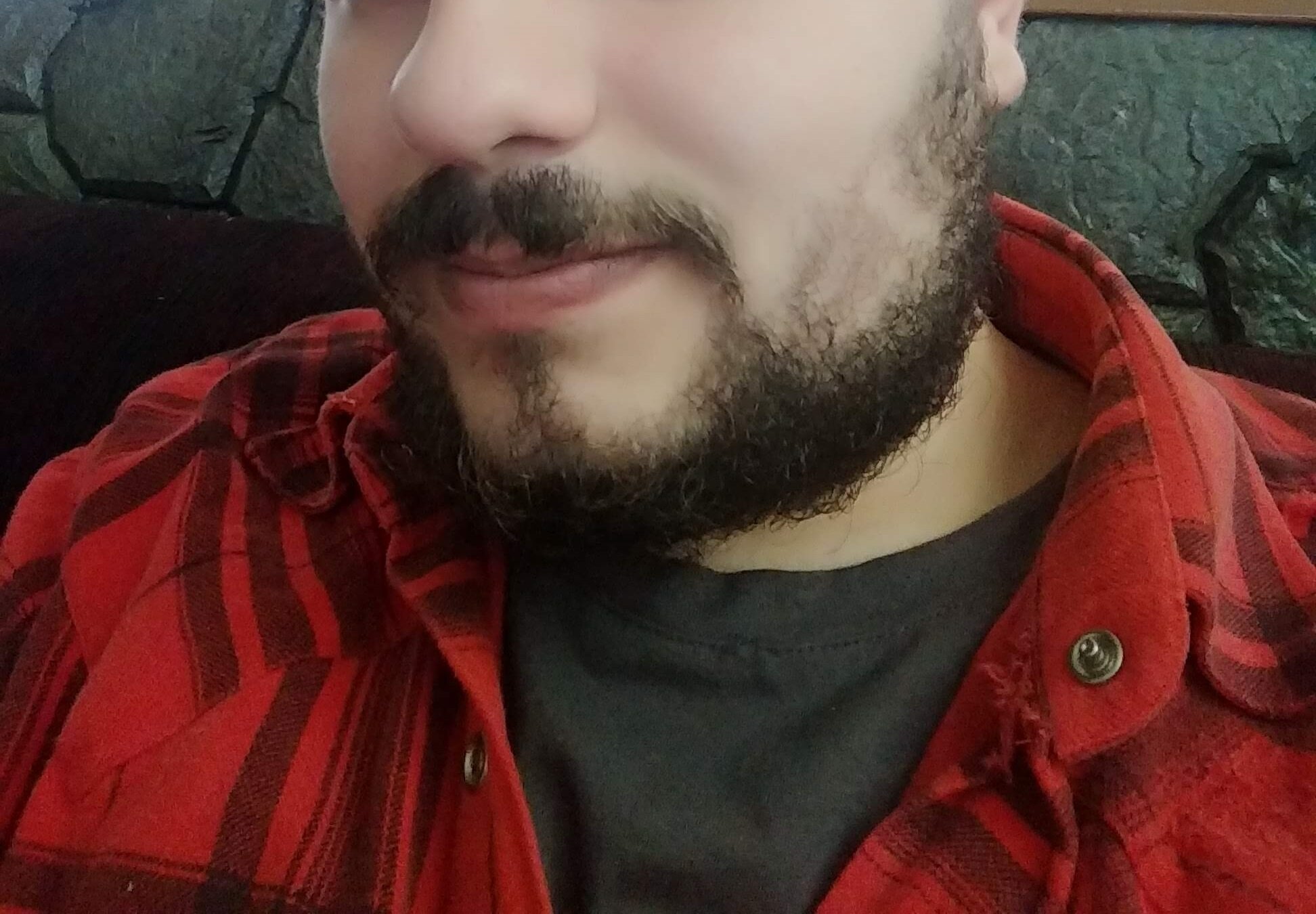 Bear_zeca
