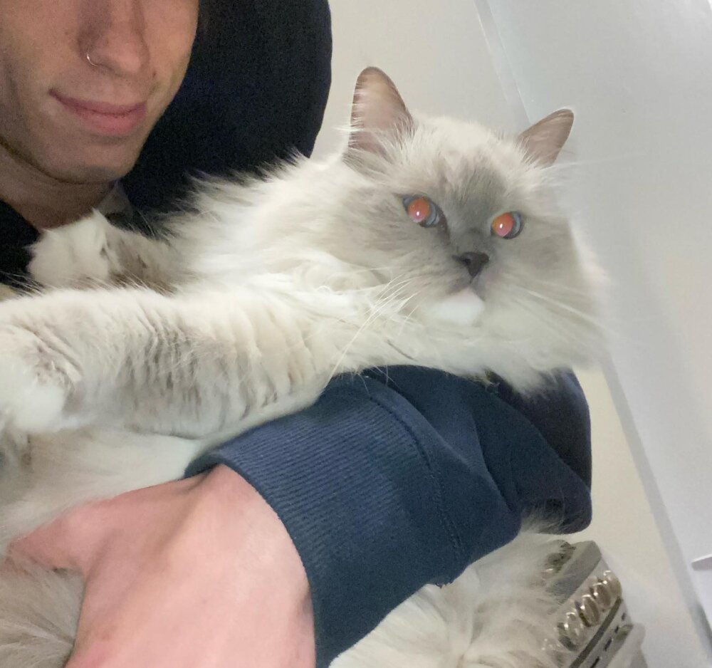 twentyistwenty's Offline XXX Chat