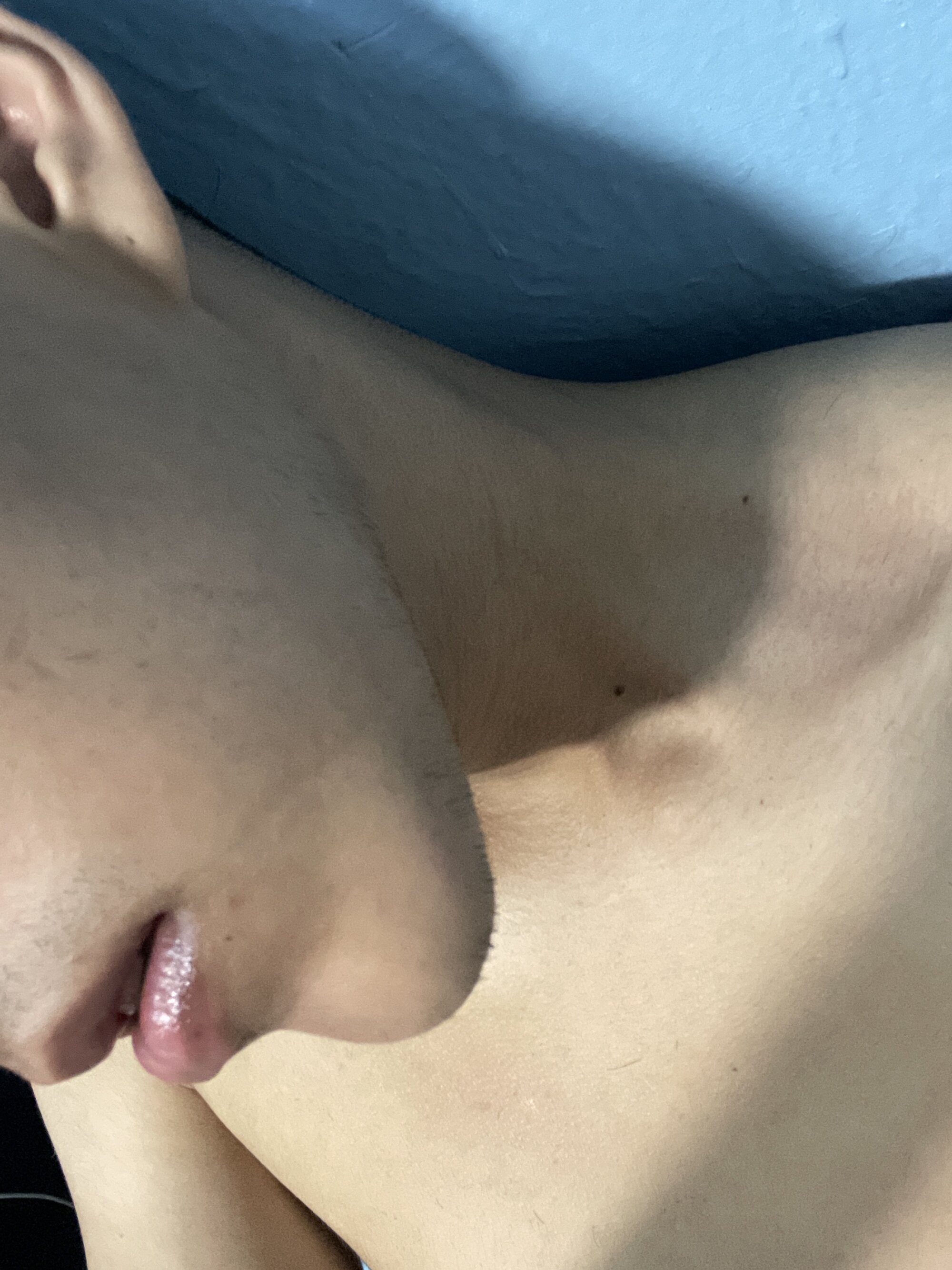Dakko_c
