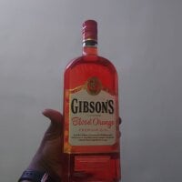 sosalAltimeter's webcam live show