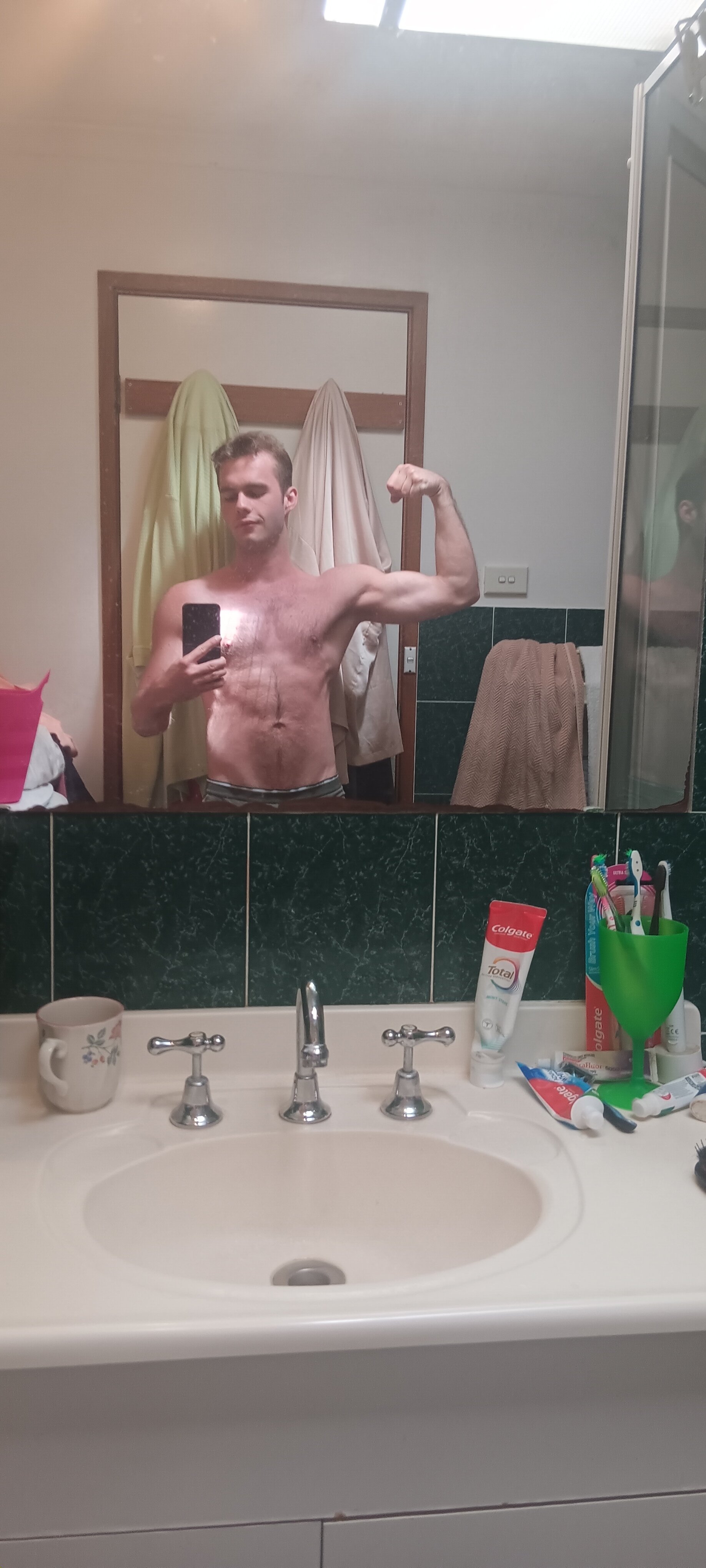 dingodarke