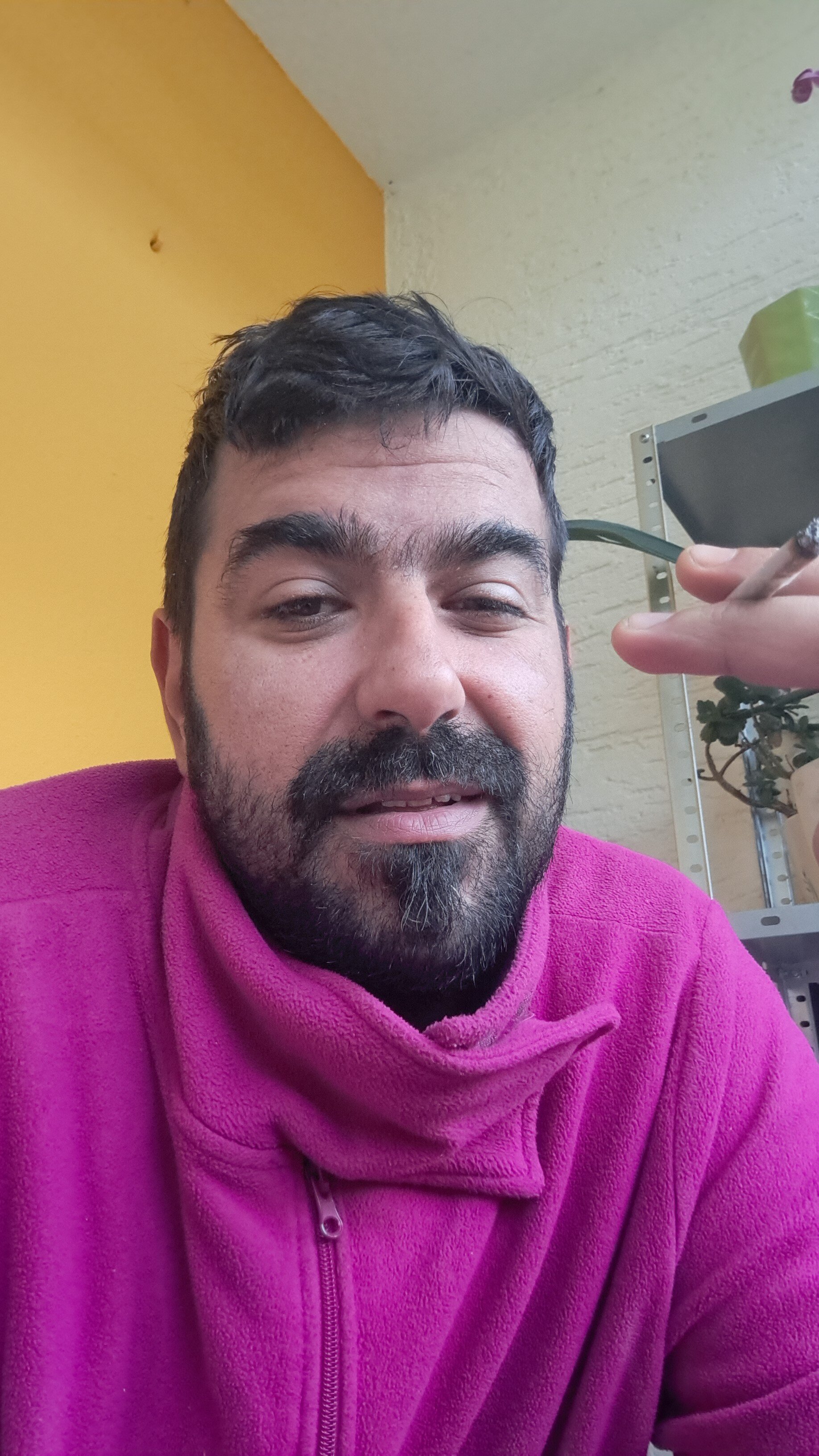 amardemar