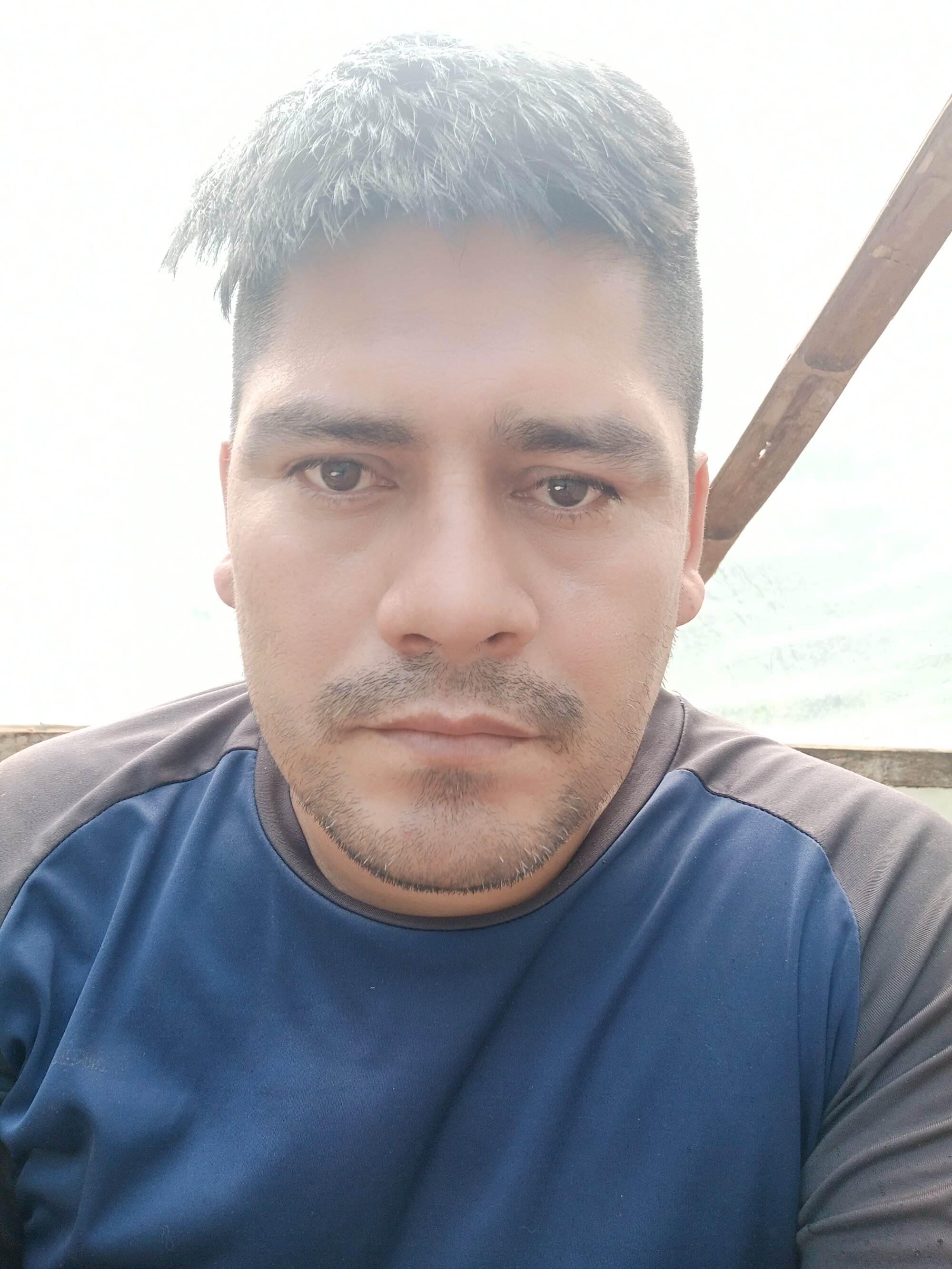 snchezdavid