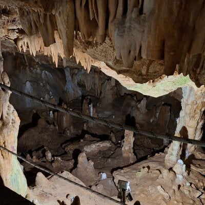 Scotland_100 profile