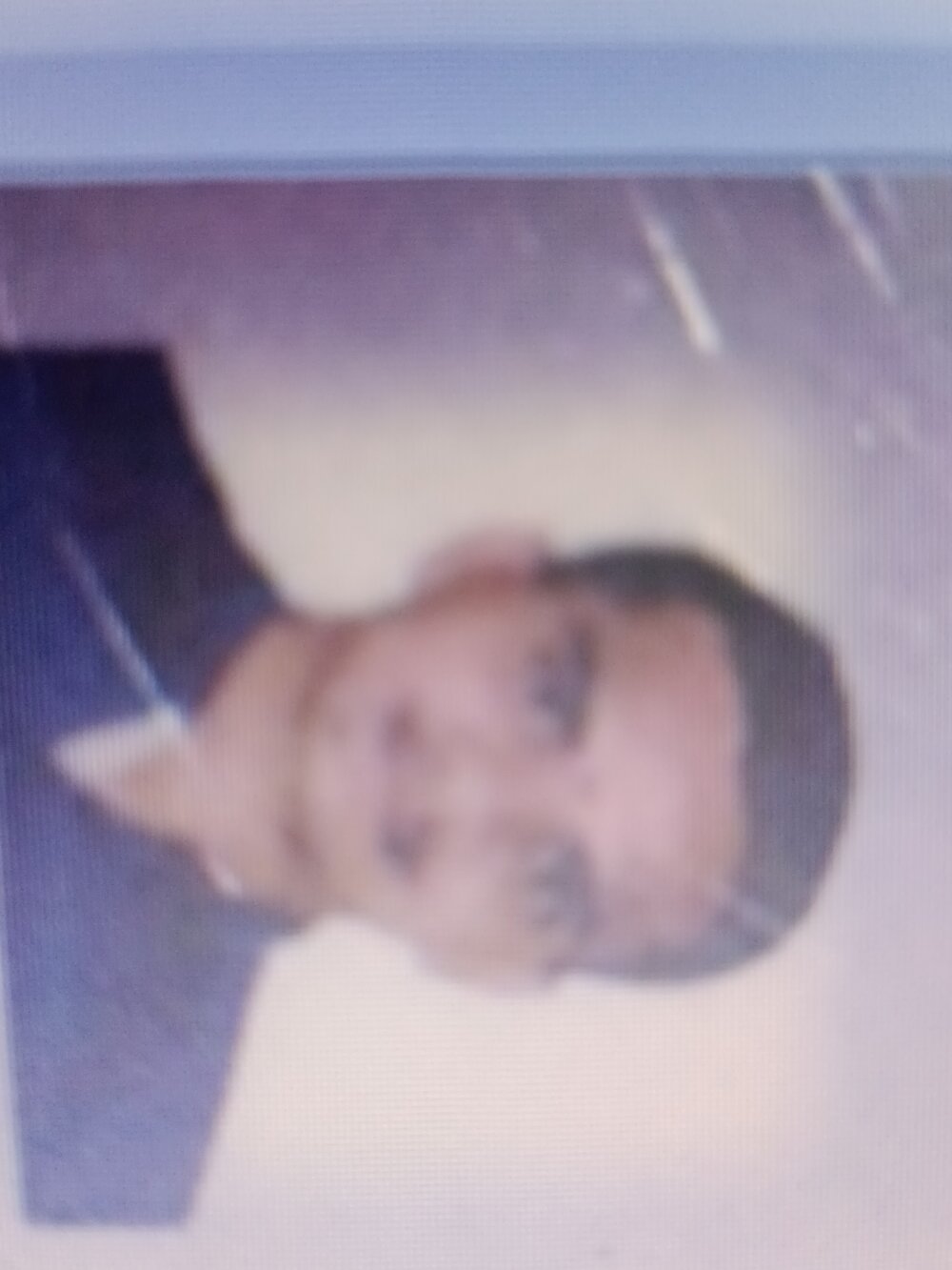 subbubhagat profile