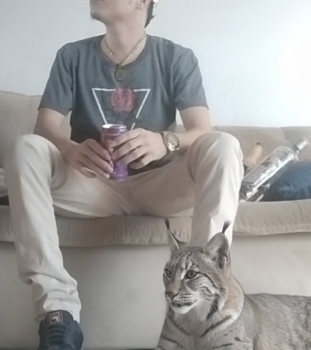 Guilhermekovaliosky offline XXX-chatje