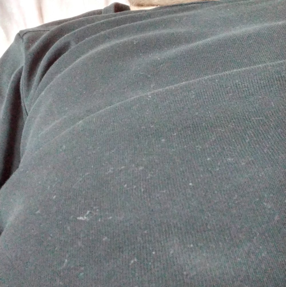 turkishboy999 profile