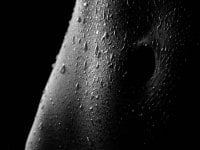 asian_xxxangel's Offline XXX Chat