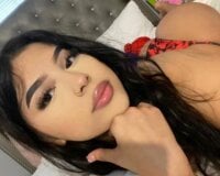 Модель Miamix2