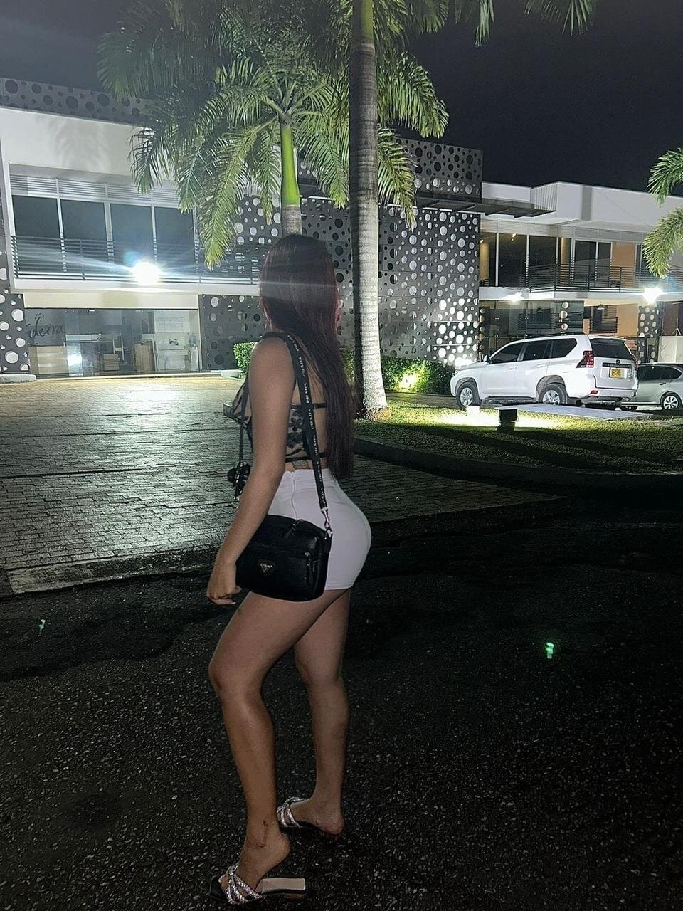 ari_petit
