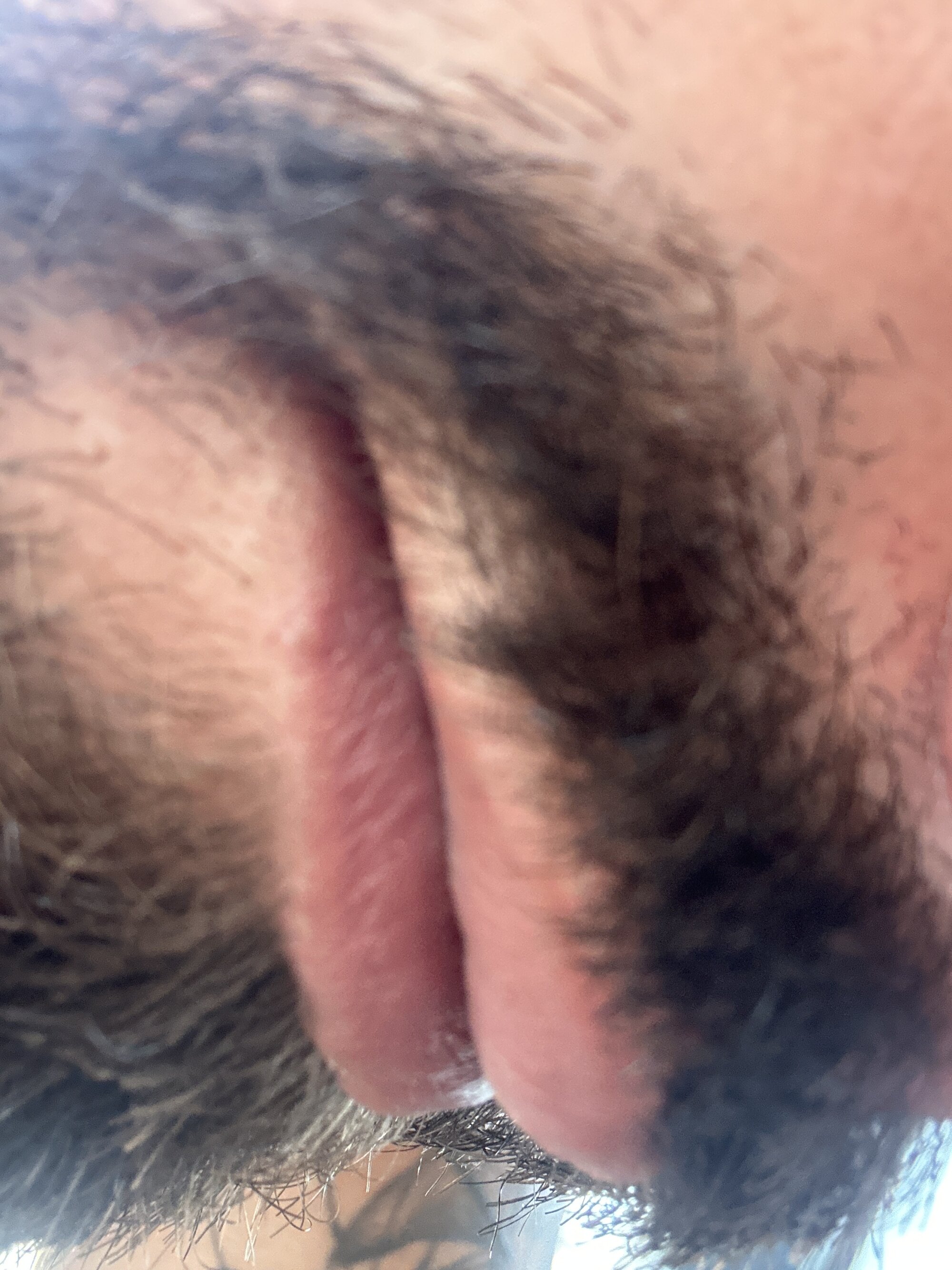 Jpauduro22
