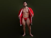 BastianFerrari's webcam live show