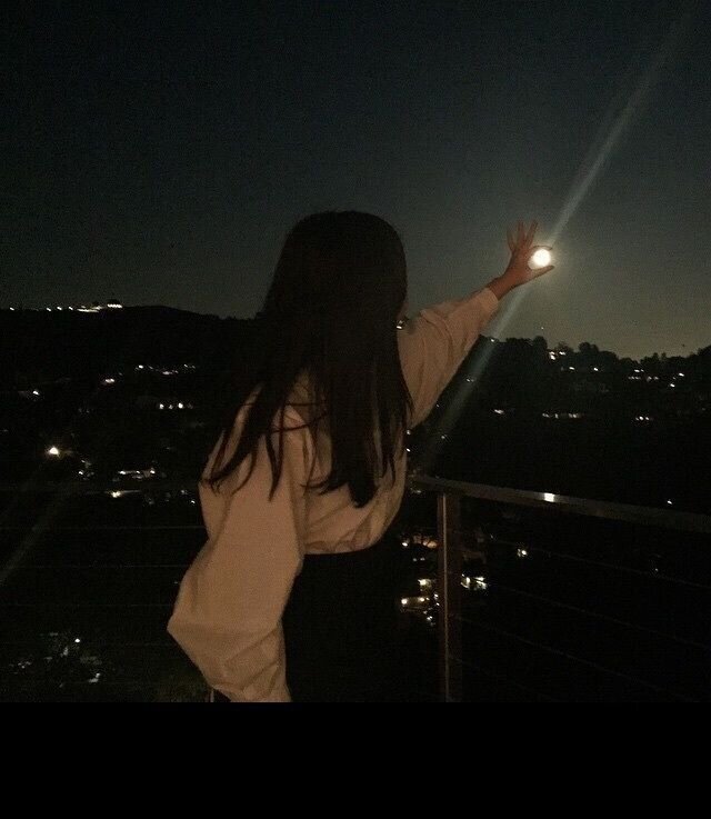 Donya3