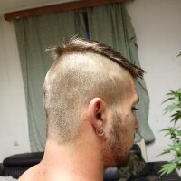 Tekknar's webcam live show