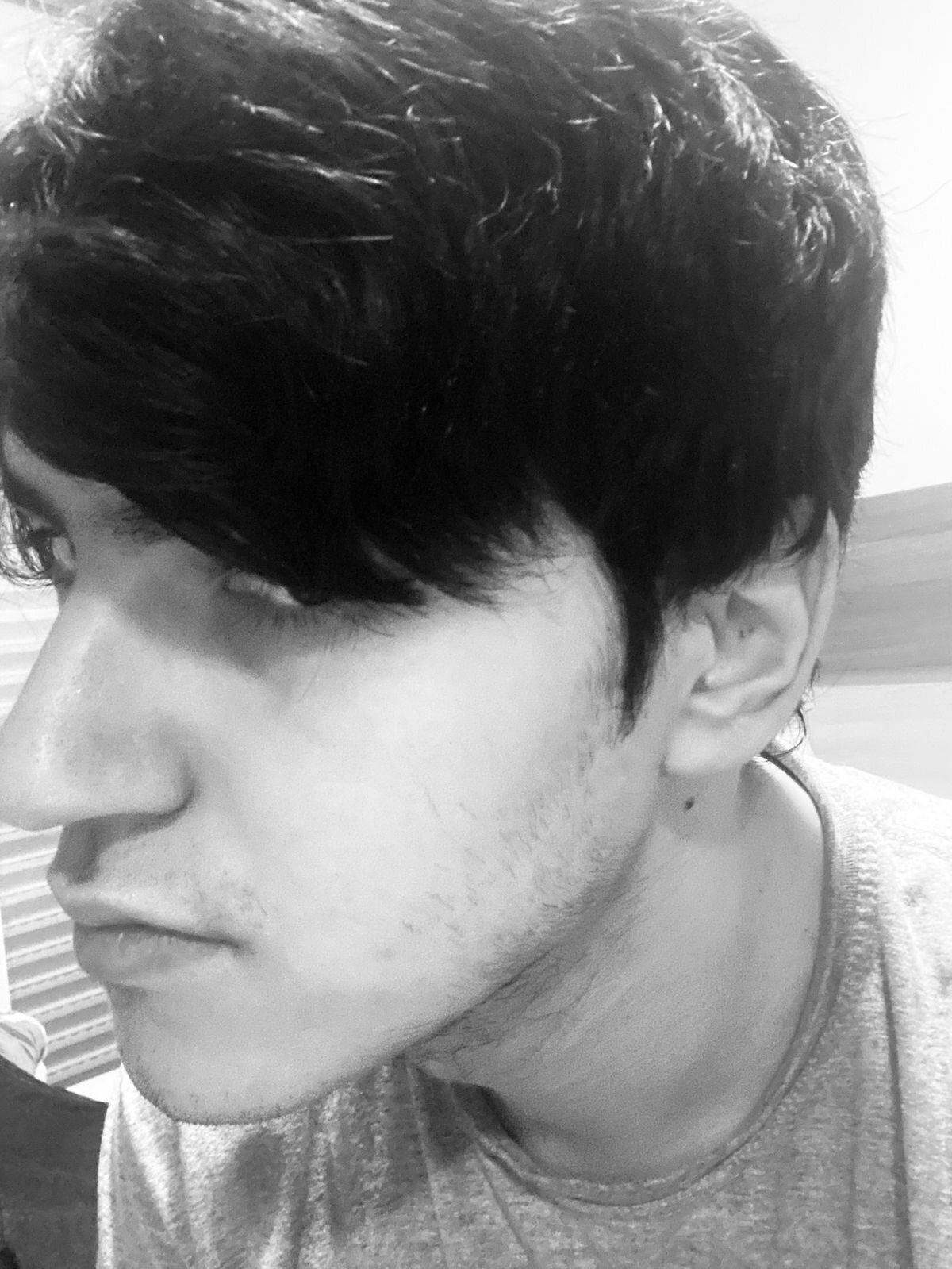 brenomodels