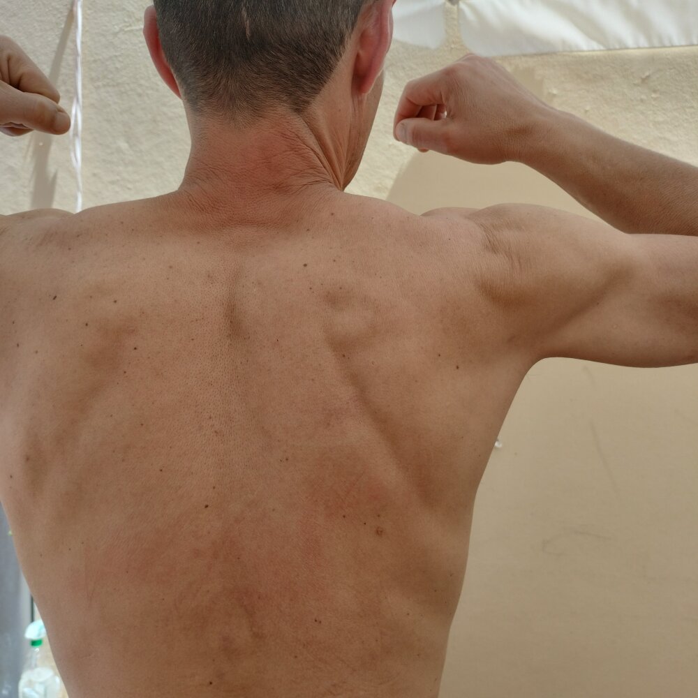 soloparati78's most recent online preview