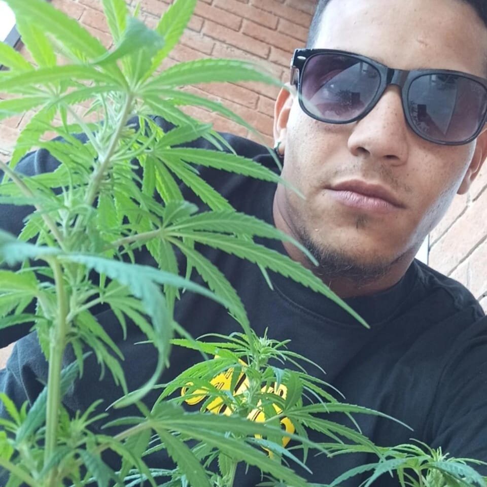 Daneoner13's Offline XXX Chat