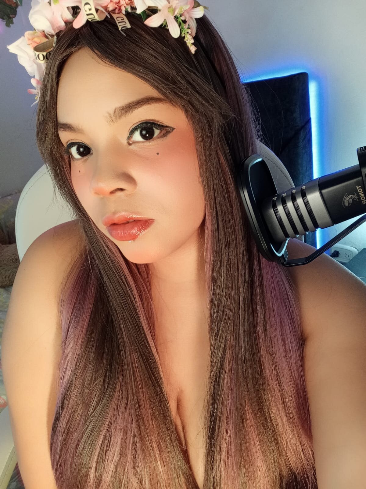 Kittye_link