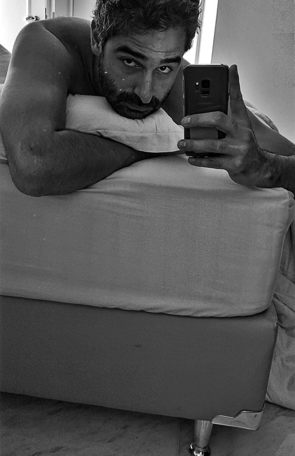 cadansse from stripchat