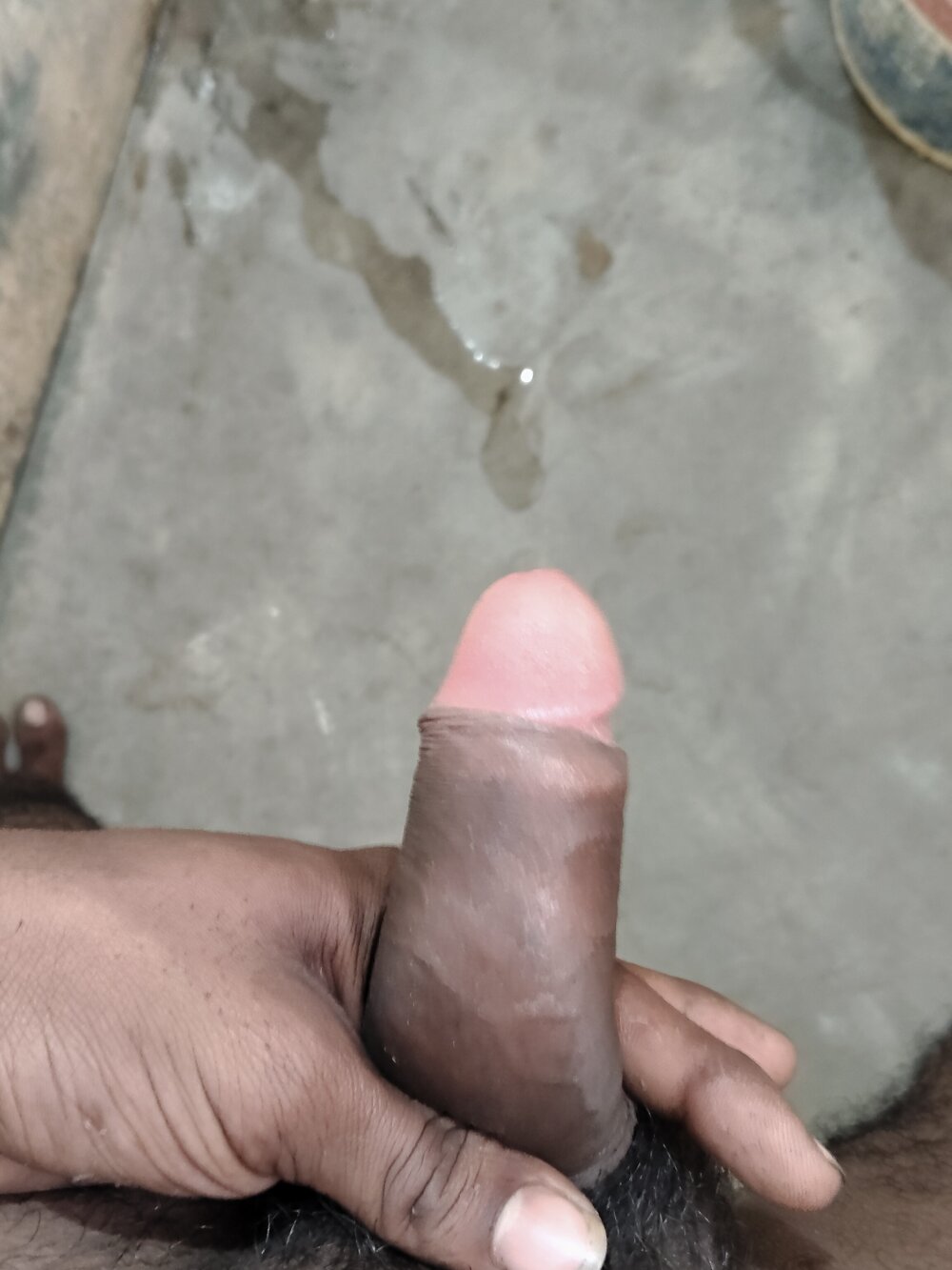 tarabhai11