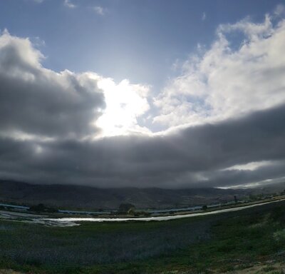 lildicksplash Avatar