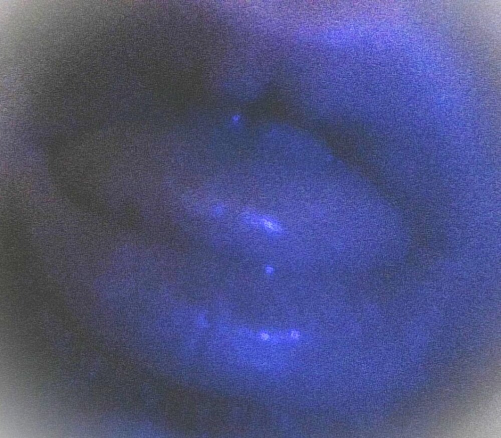 hunkiefend21's Offline XXX Chat