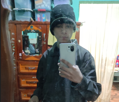 Litox96 profile