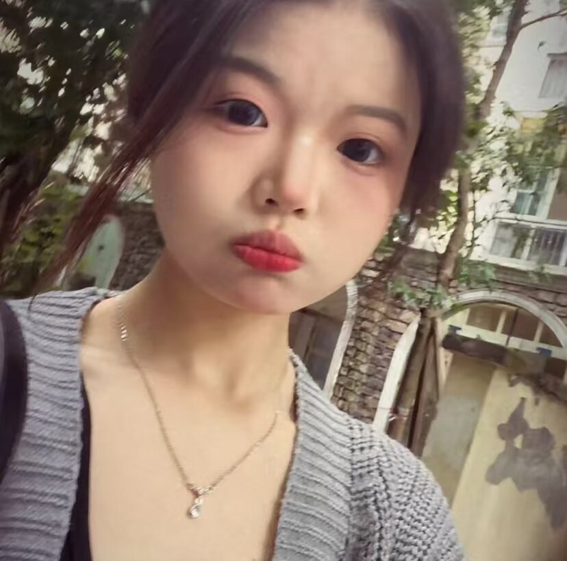 KAI-XIN100 profile