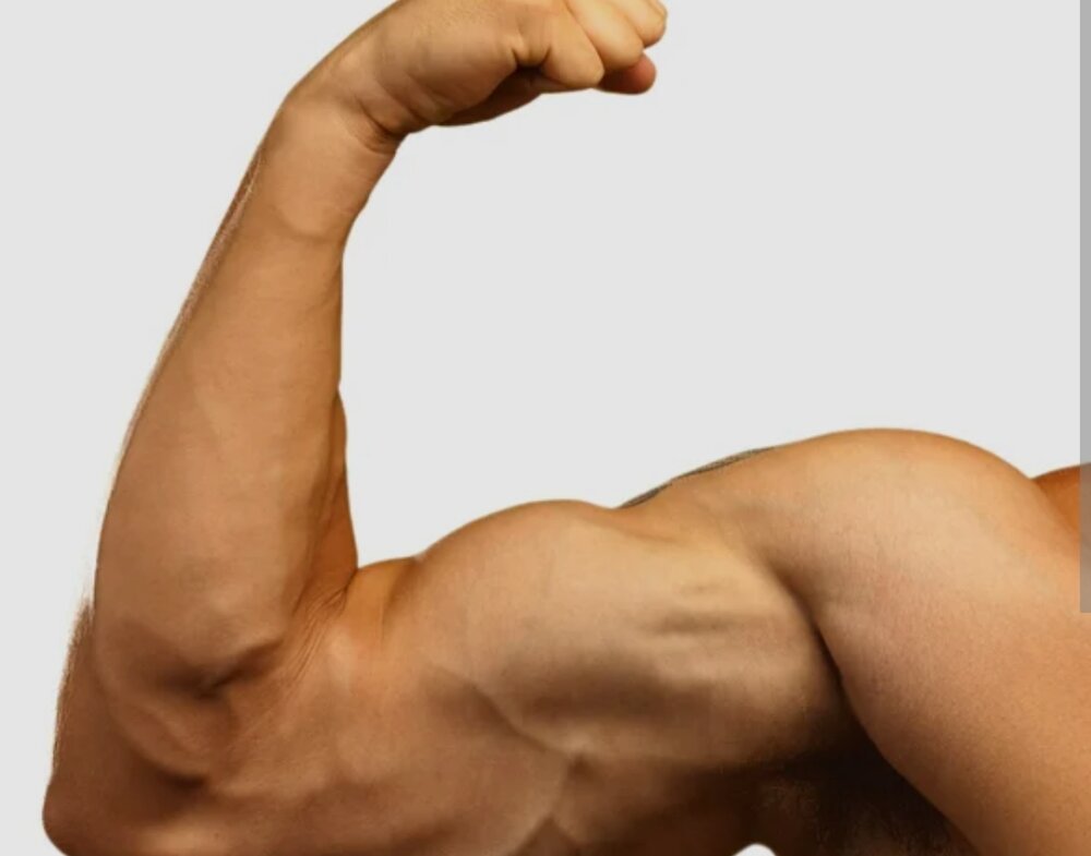 tworubiosXL's Offline XXX Chat