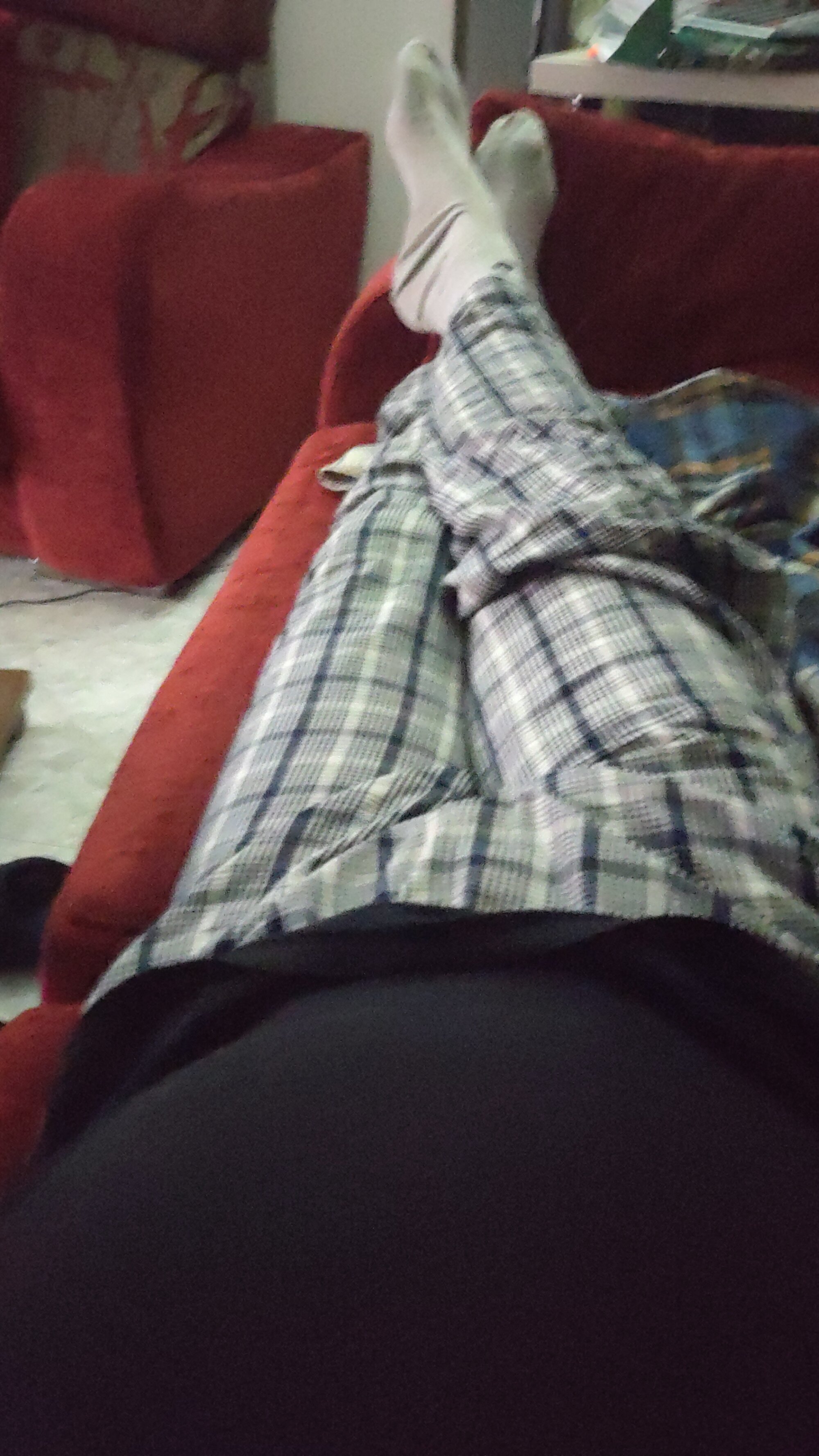 calamardo19