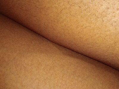Dickprint02