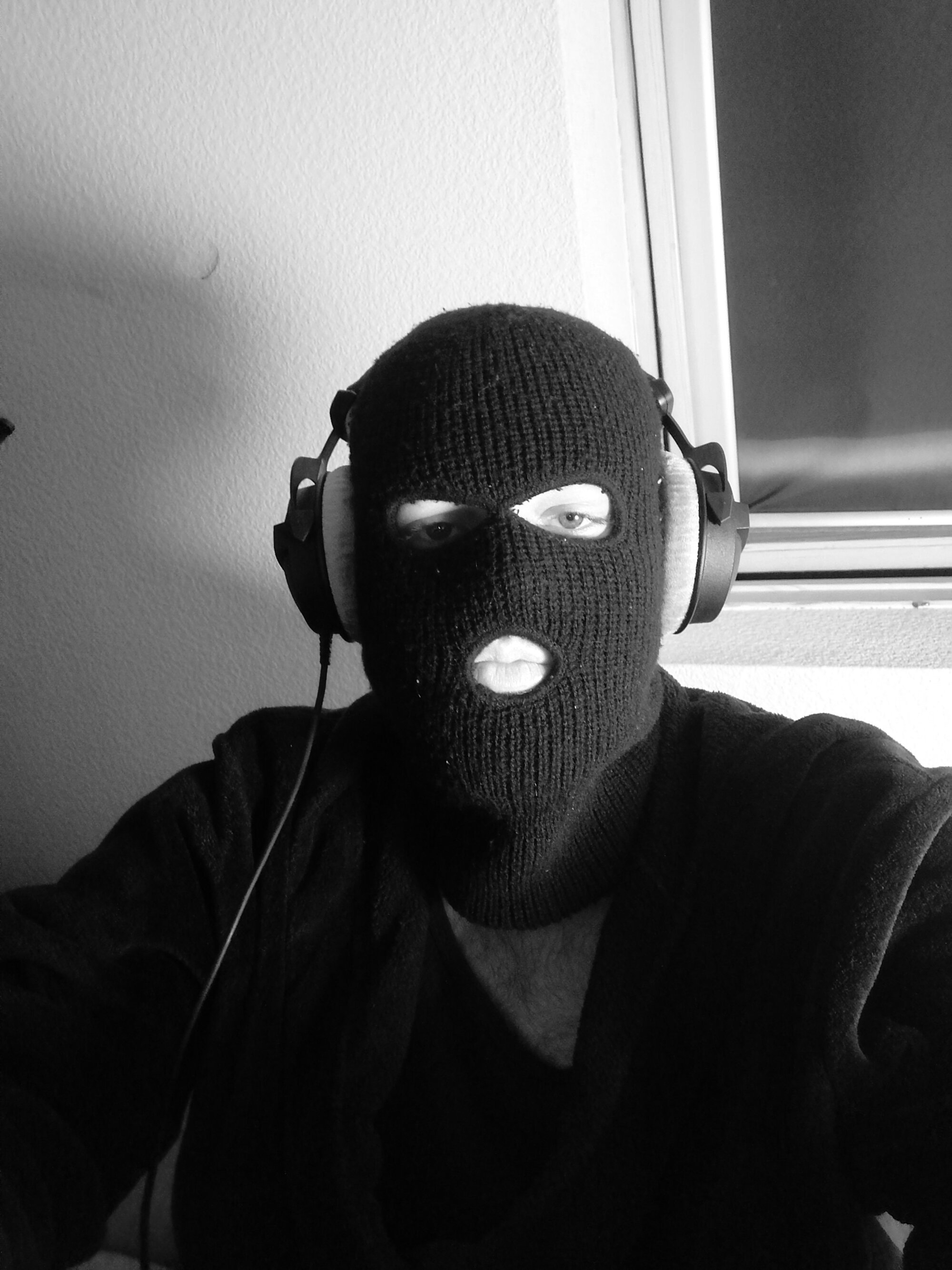 MaskedDickGER