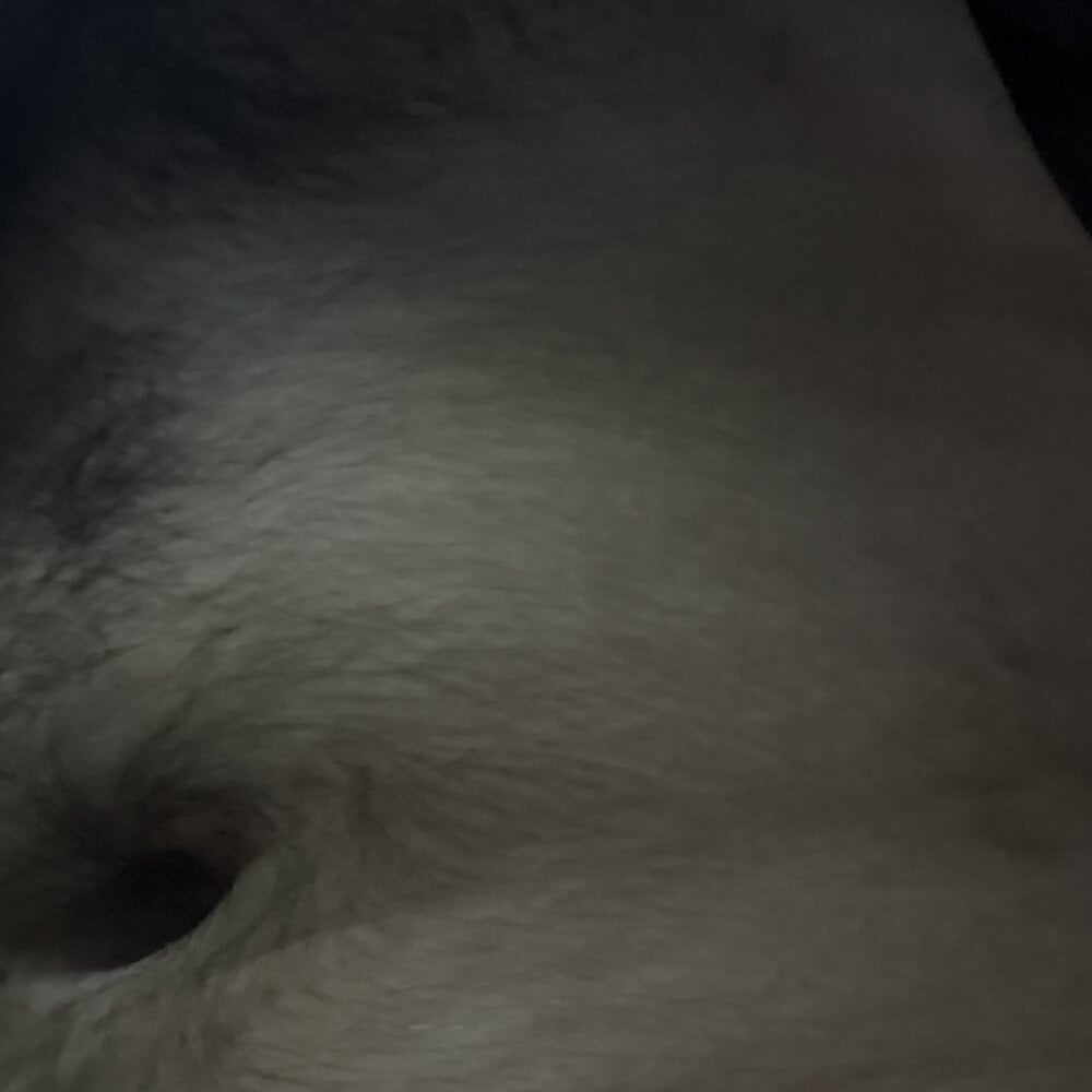 Aldfie673: офлайн-секс-чат