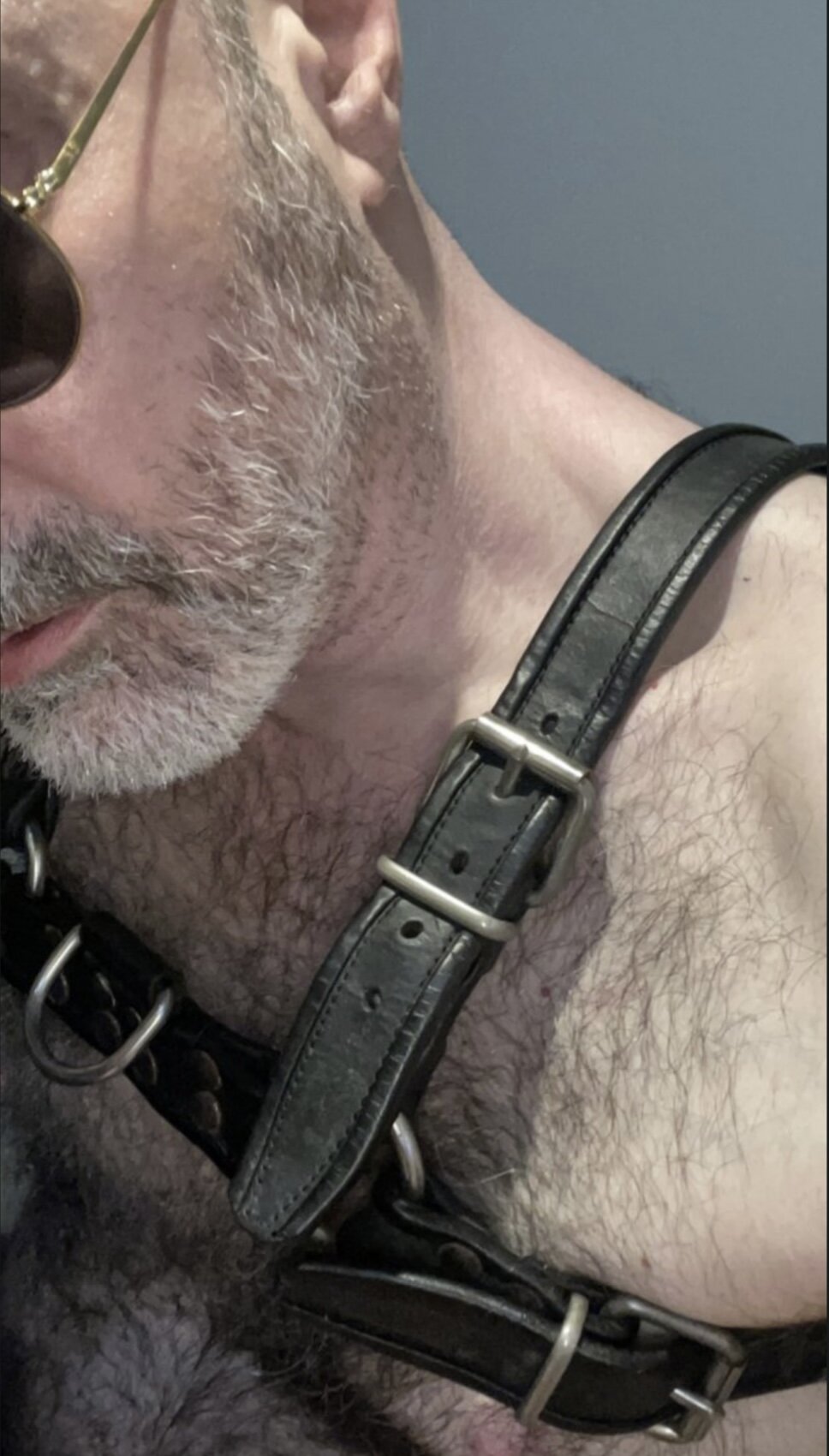 hairyverscgn