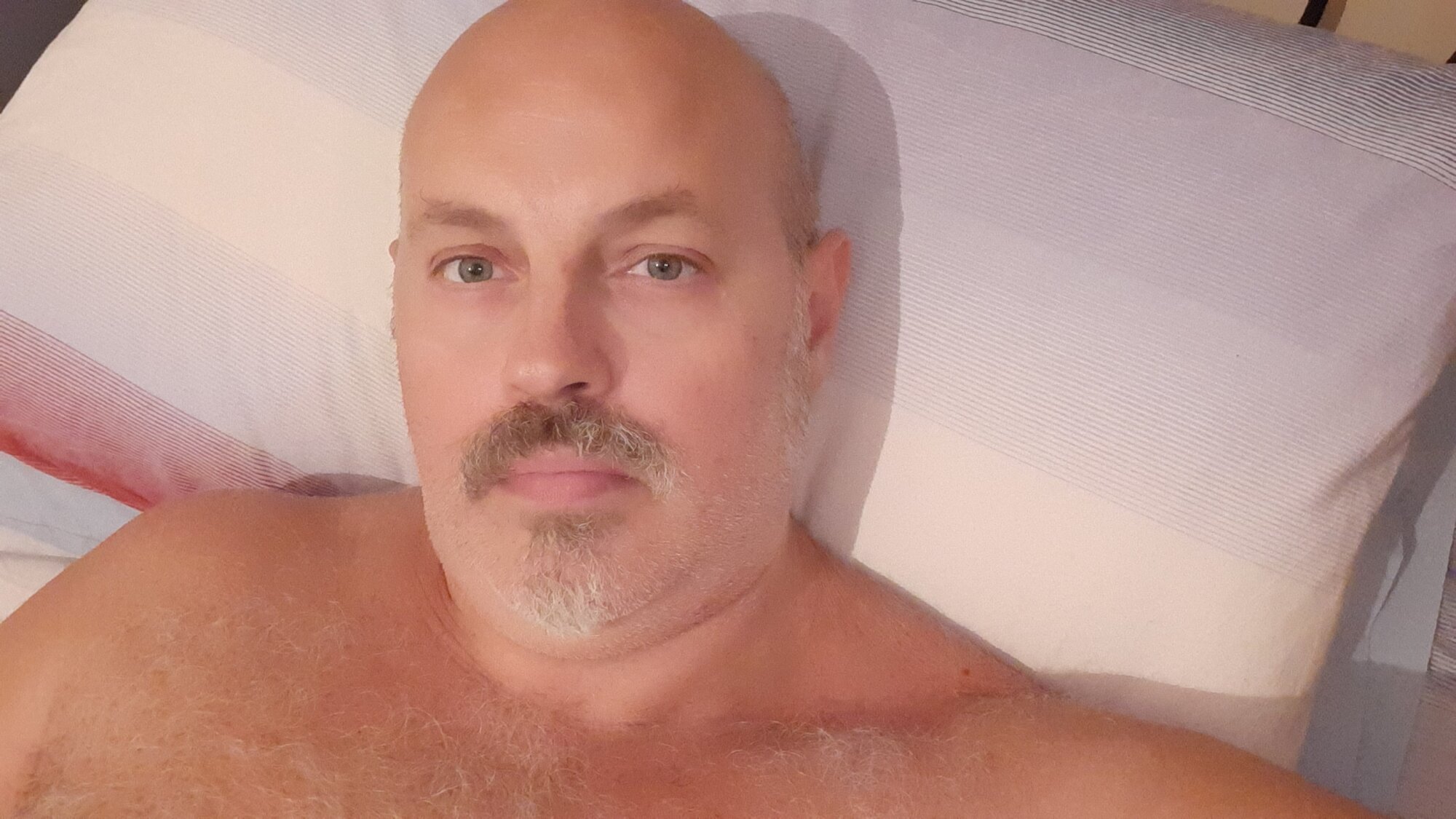 fatbaronetto