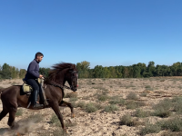 Javix77788's webcam live show