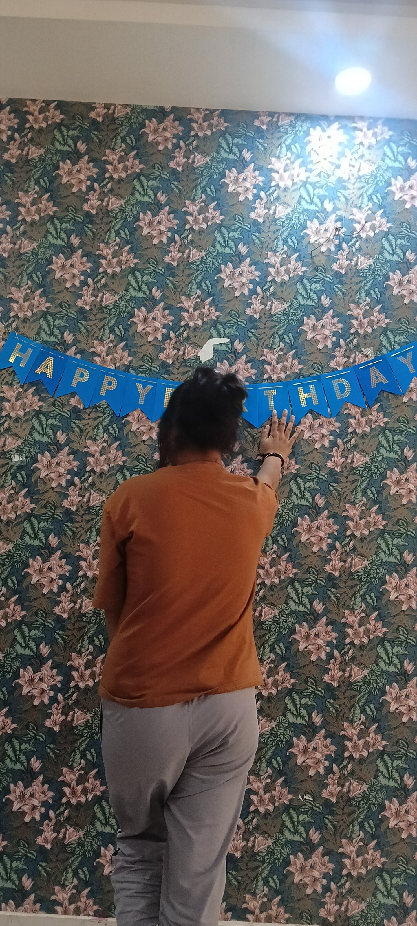 Anaya_02