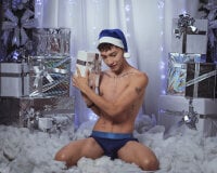 Модель Tiam_muller